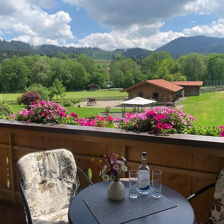 Gaestehaus "Zur Schmiede" Wertach Εξωτερικό φωτογραφία